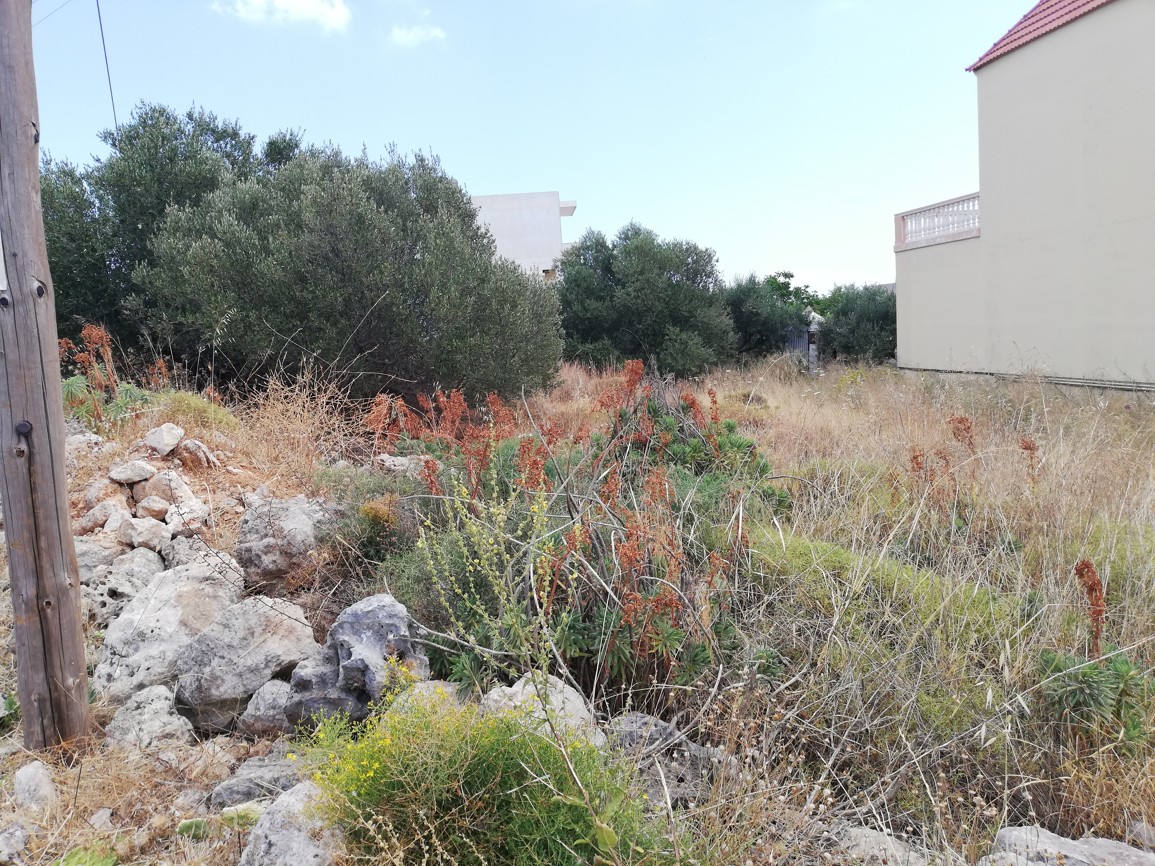 House in Sternes - view 1