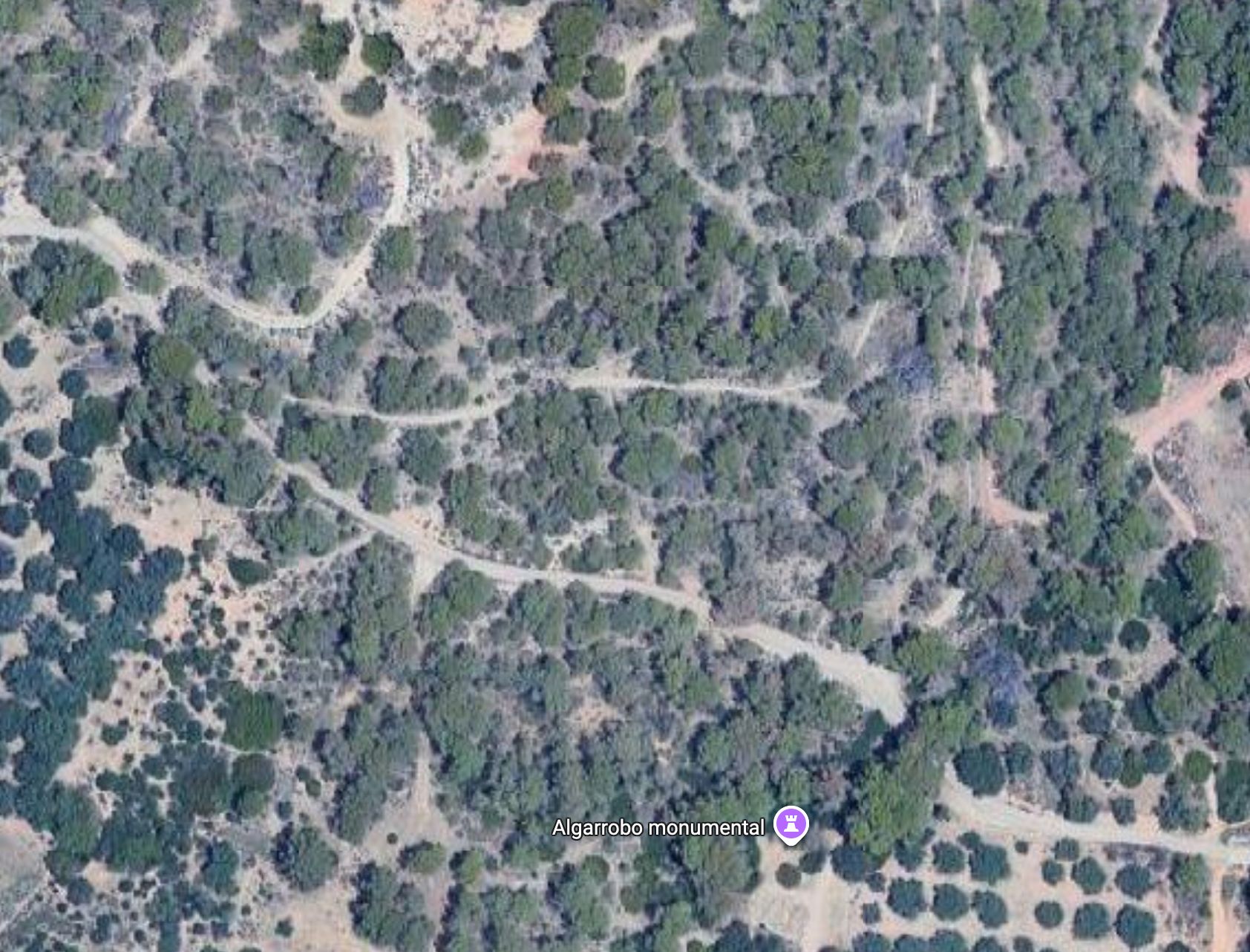 Land in l'Alfas del Pi - view 1
