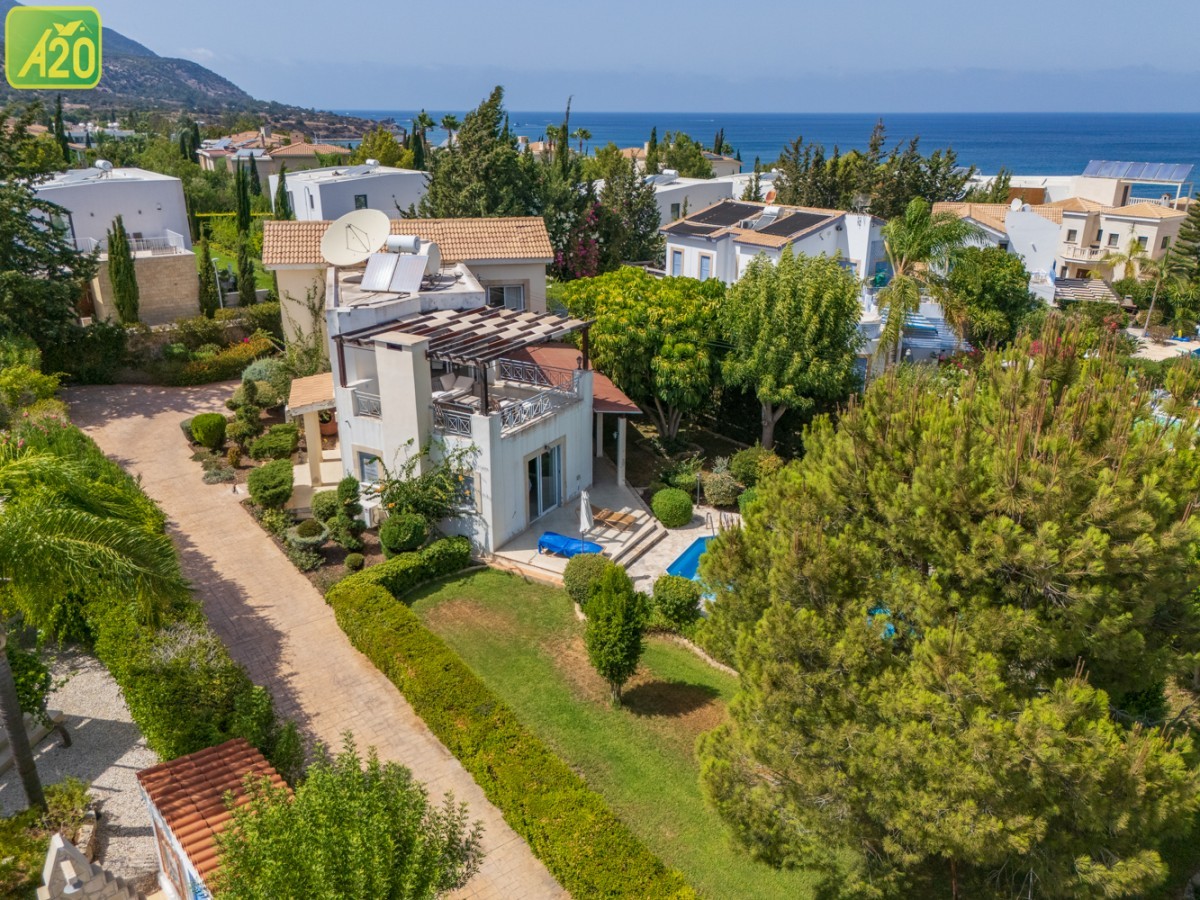 Villa in Ayios Theodoros - view 1