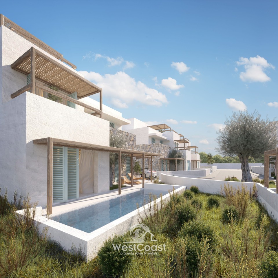 House in Geroskipou - view 1