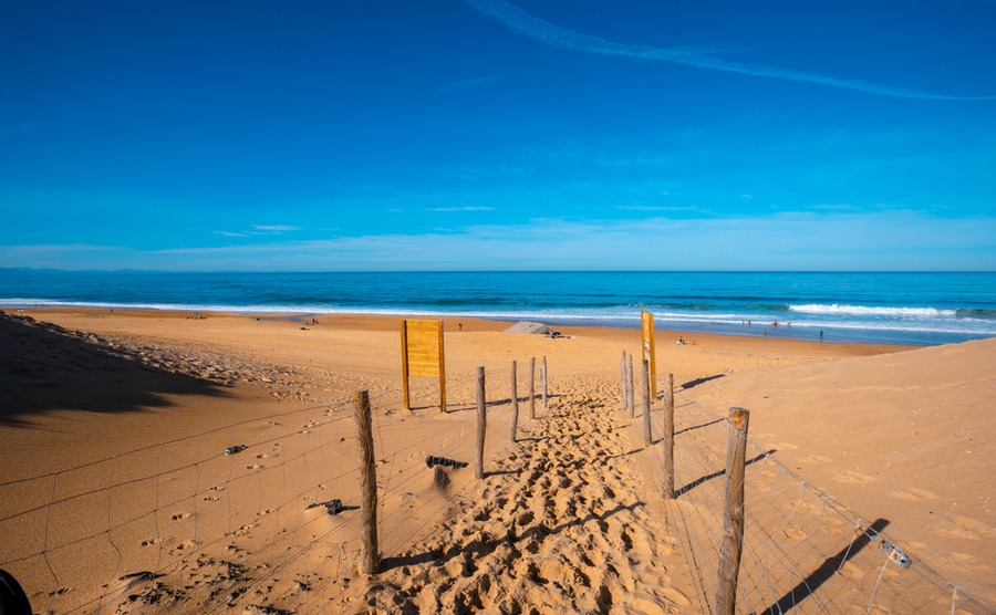 sea view in Landes. 