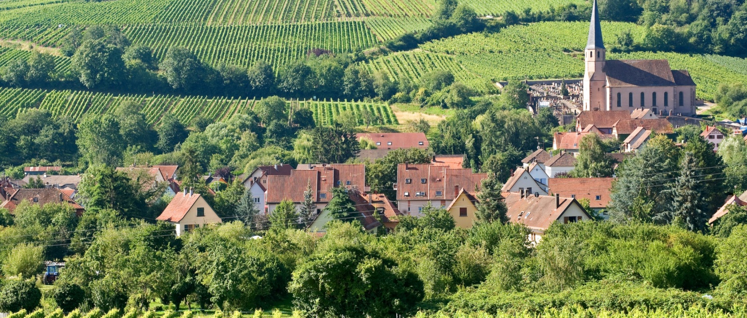 Viewing trip to France