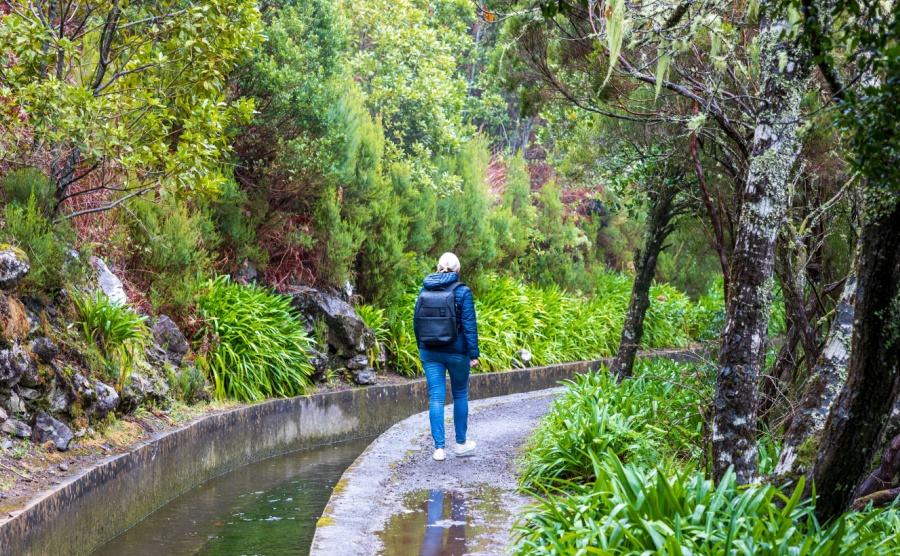 beautiful Madeira landscape with Folhadal levada