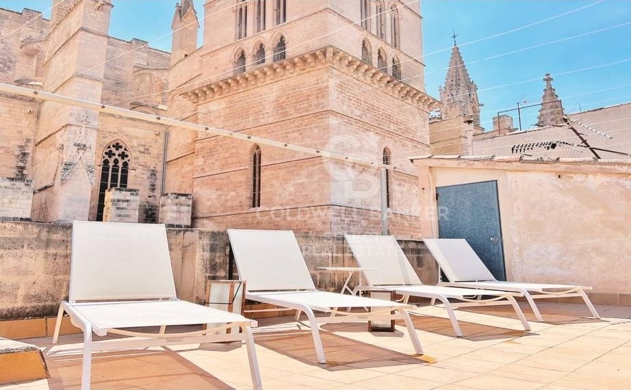 Seats with a Cathedral behind them, Palma. 