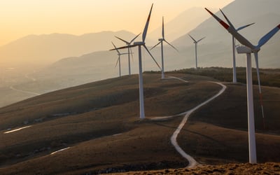 How to live a green life in France