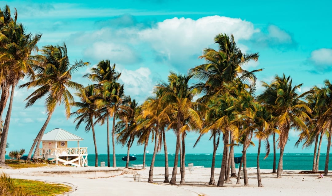 Discover Palm Beach and Mar-a-Lago: a dream destination for buying property in Florida