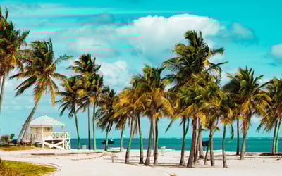 Discover Palm Beach and Mar-a-Lago: a dream destination for buying property in Florida 