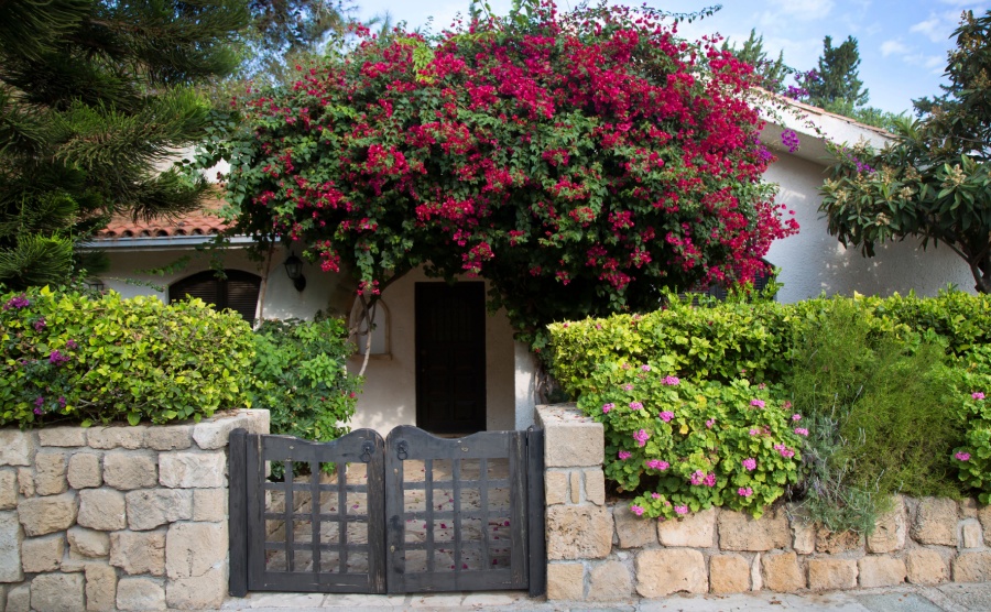 A holiday home in Paphos