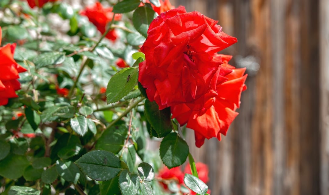 Cyprus in spring: what you need to see and do