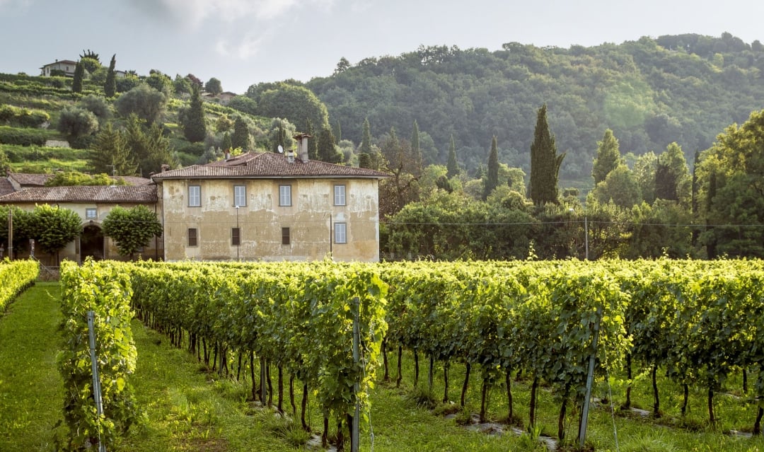 Can you buy property in France?