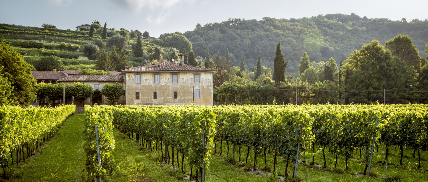 A french countryside estate