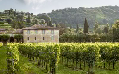 Can you buy property in France?