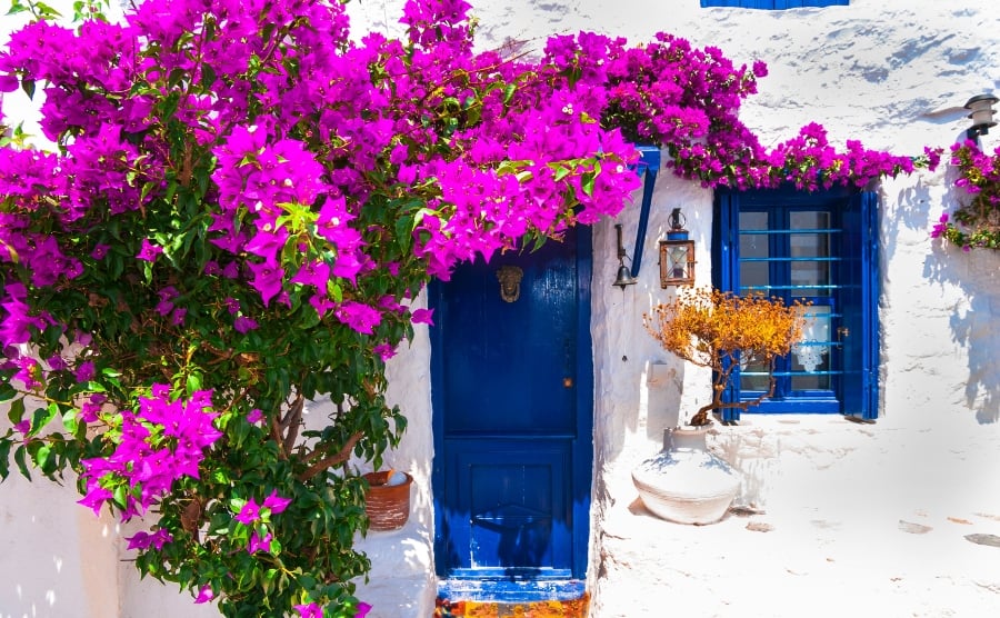 White house with blue, flower-framed door