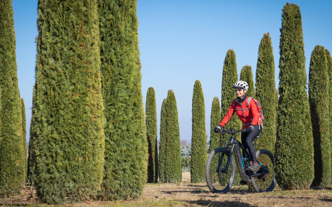 How to retire to Italy