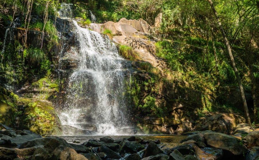 Portugal’s most affordable and beautiful places to buy sever do vouga
