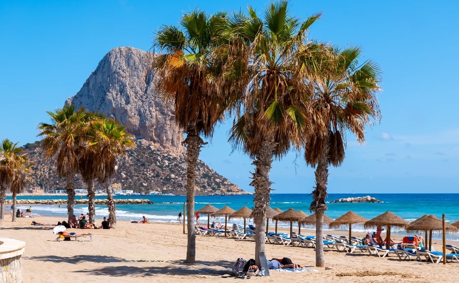 Beach and palm trees in Calpe, Alicante
