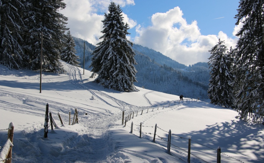 Winter landscapes at paccots above châtel-st.denis in switzerland