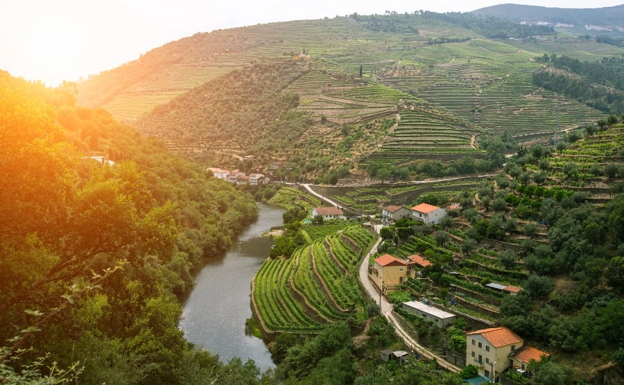 Vineyards, river and hills in Portugal