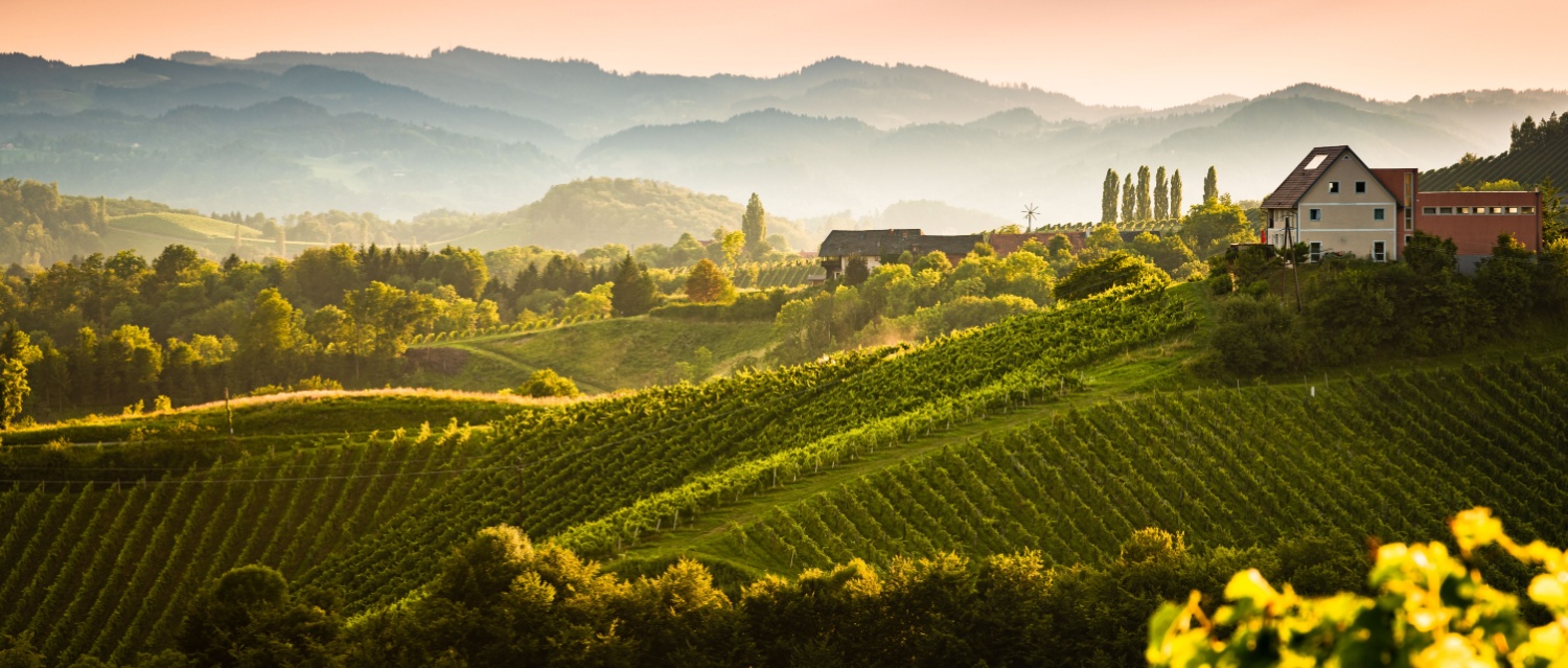 View from famous wine street in south styria, Austria on tuscany like vineyard hills. Tourist destination