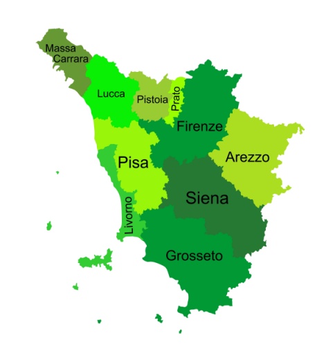 Green Tuscany map silhouette vector, Toscana, Italy province vector map illustration isolated on background. Separated regions with borders.