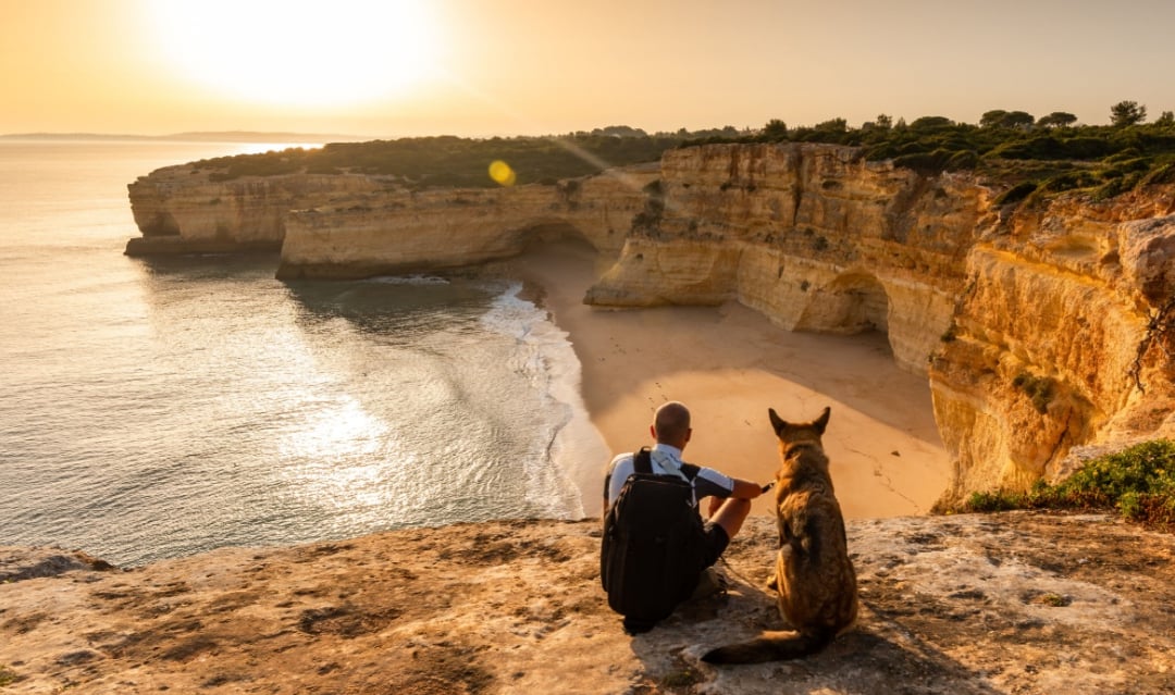 Bringing your pets to Portugal in 2025 – what you need to know