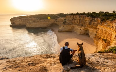 Bringing your pets to Portugal in 2025 – what you need to know