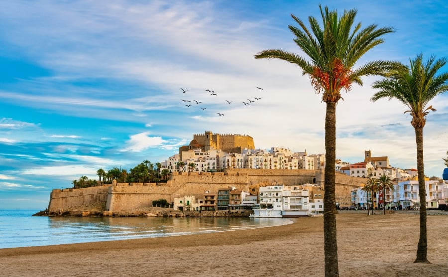 Beach and palm trees in Peniscola