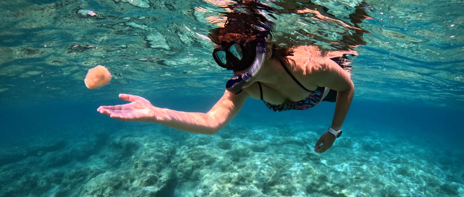 Young girl snorkeling with marine life underwater, in the clear warm ocean with rocky seabed. Travel picture with the woman snorkeler in the sea. Turquoise water and swimming tourist.