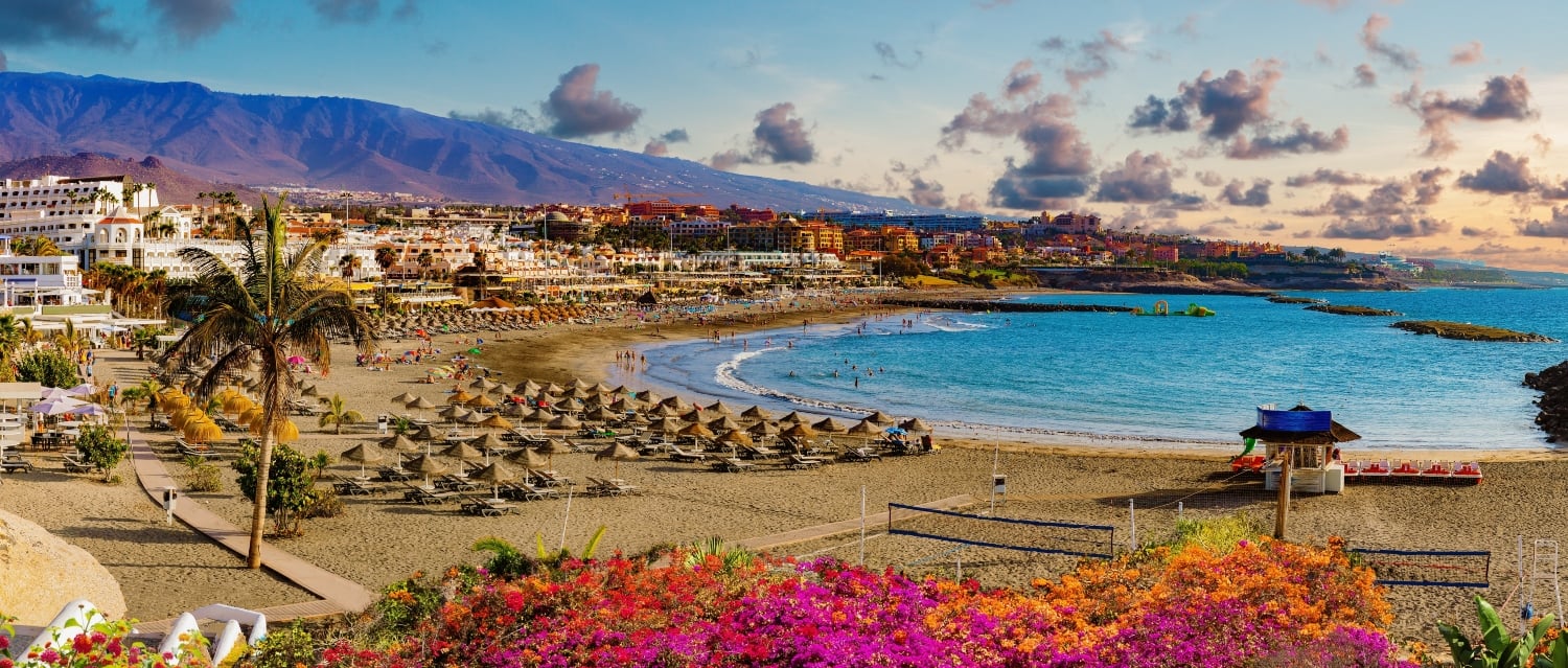 Beach and mountains with colourful flowers in the foreground