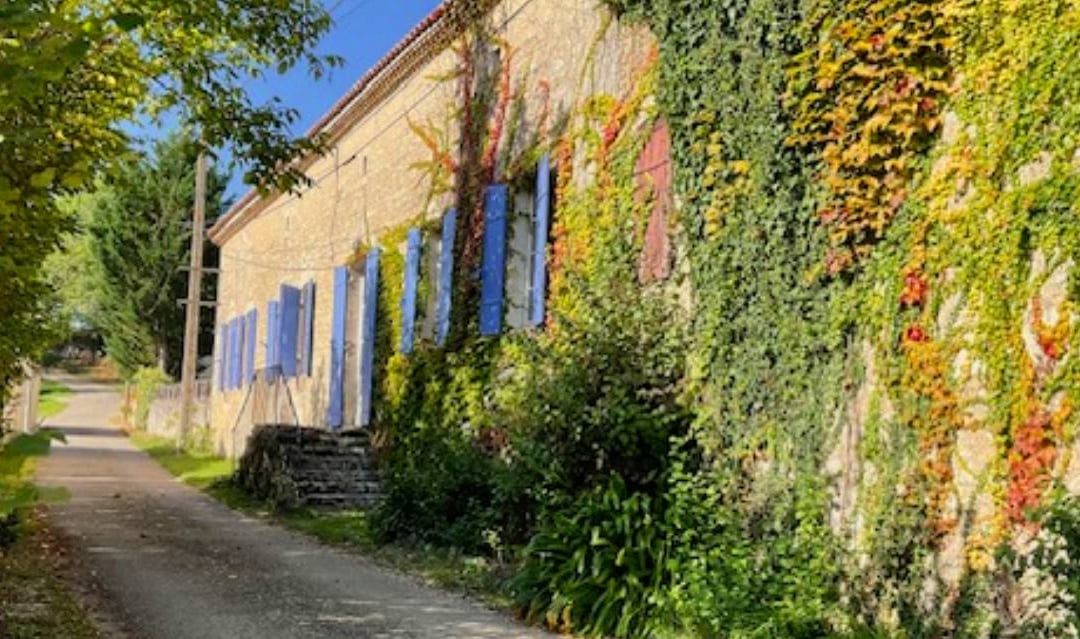 “You really have to check it for yourself” – Lessons from a buyer in rural France