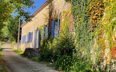 “You really have to check it for yourself” – Lessons from a buyer in rural France
