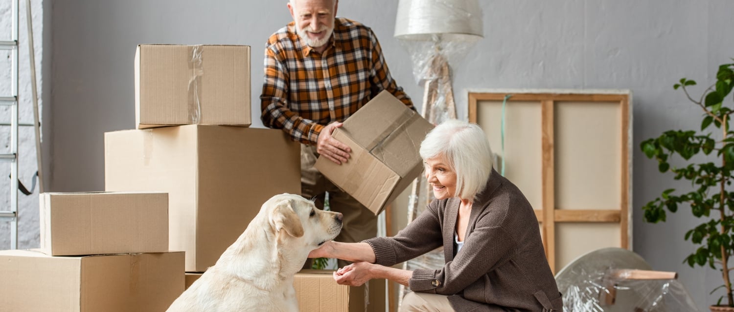 Couple petting dog with cardboard boxes