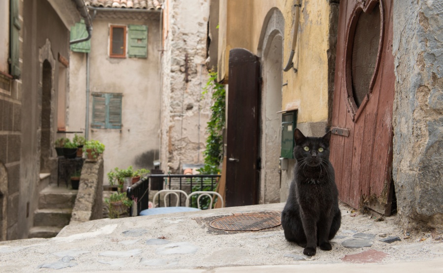 Black street cat in an old town in the provance of France
