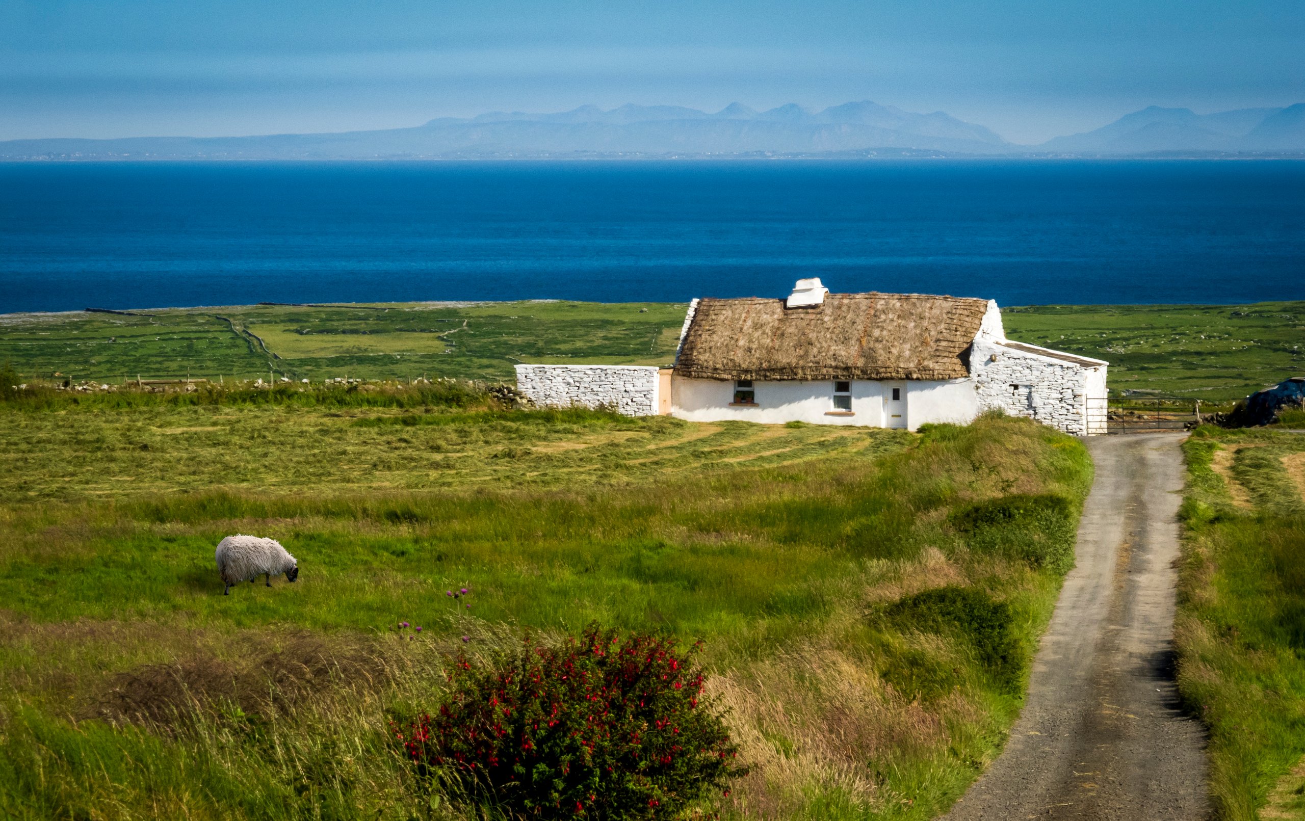 Best places in Ireland to buy near water