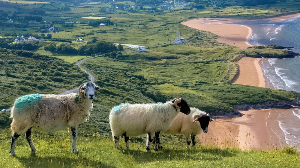 Buy property in Ireland