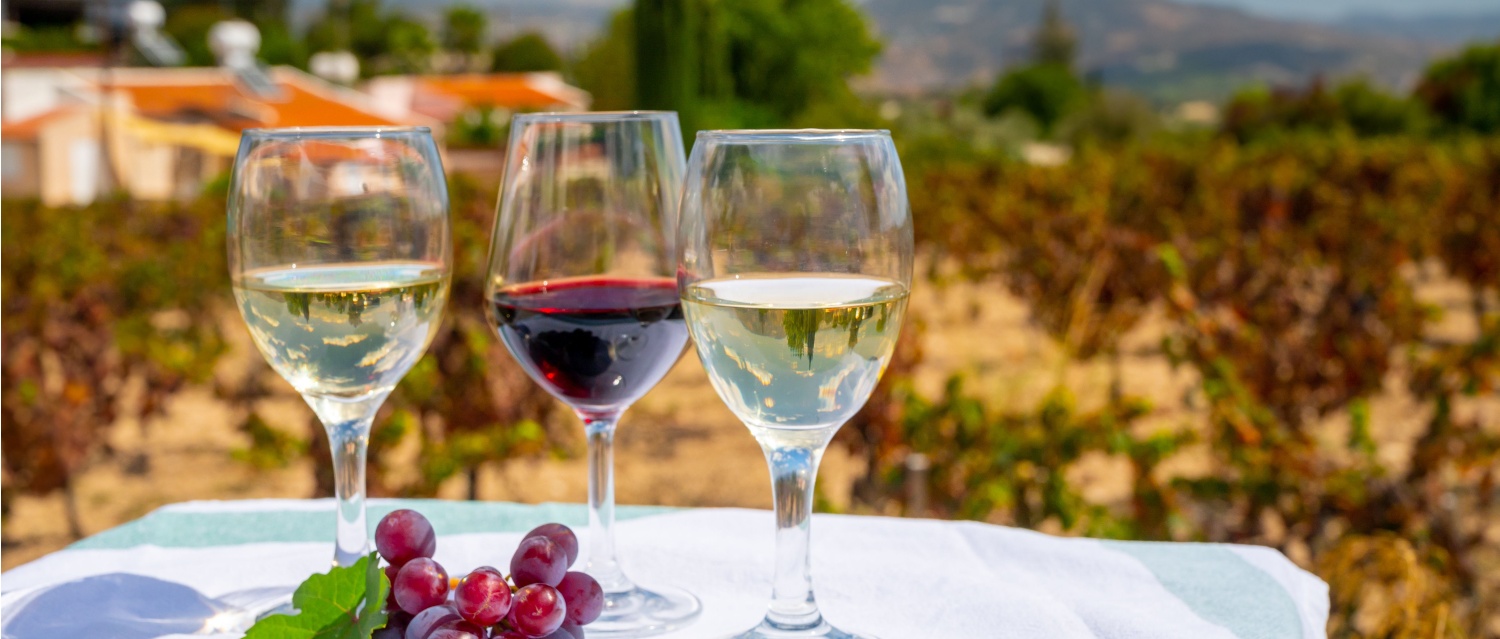 Your autumn lifestyle in Cyprus