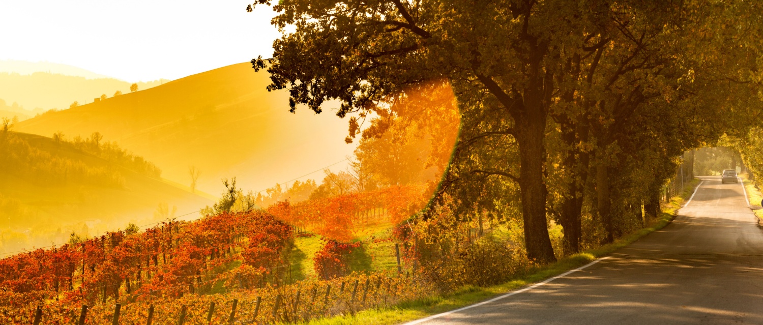 What’s going on in Italy this autumn