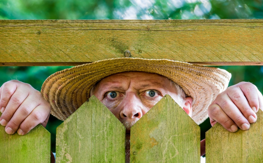 Being a good neighbour in france