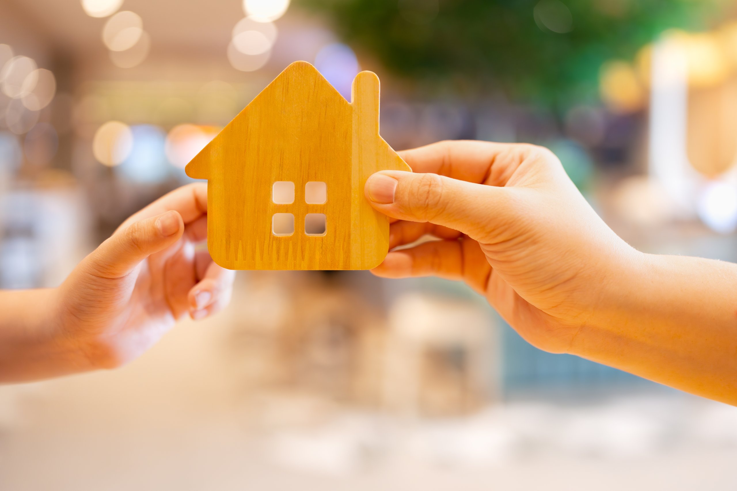 New Zealand inheritance laws for expats moving permanently