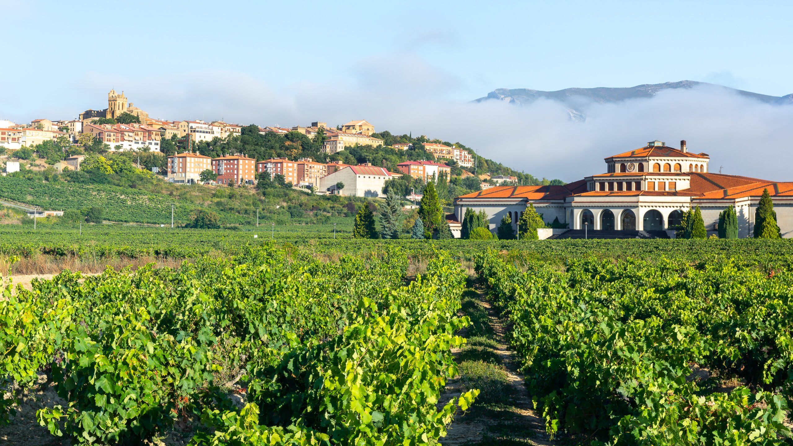 5 Spanish vineyard towns to consider for your new home