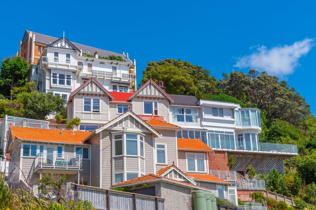 Houses on a cliffside in Wellington
