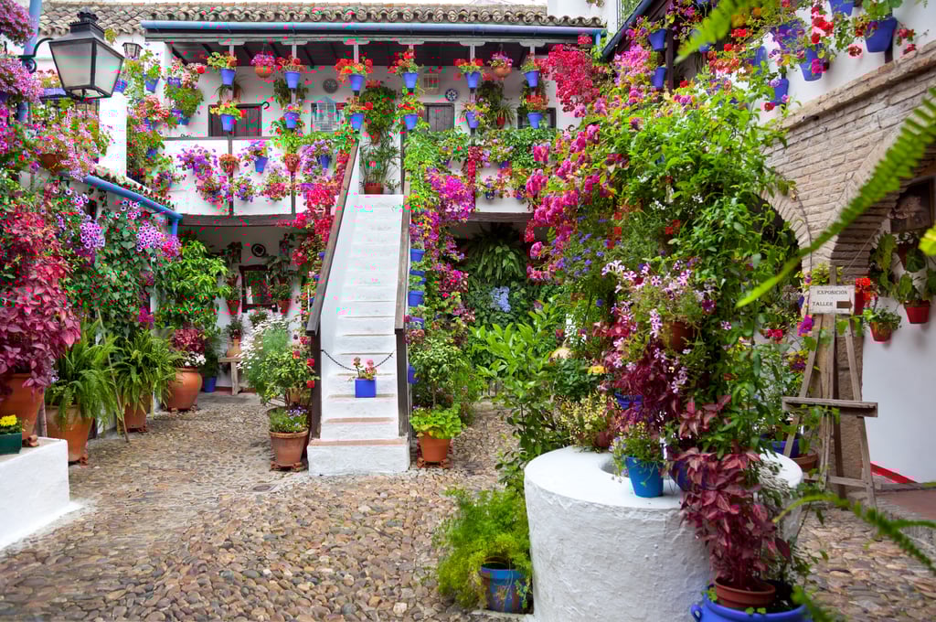 Courtyard of flowers in Cordoba