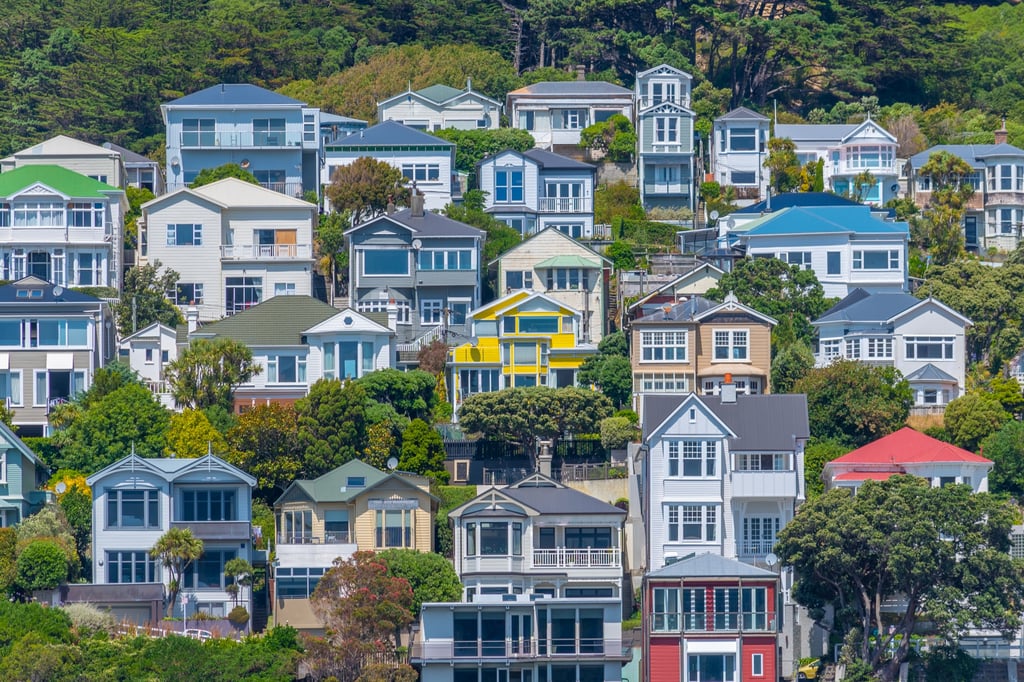 Colourful houses in Wellington