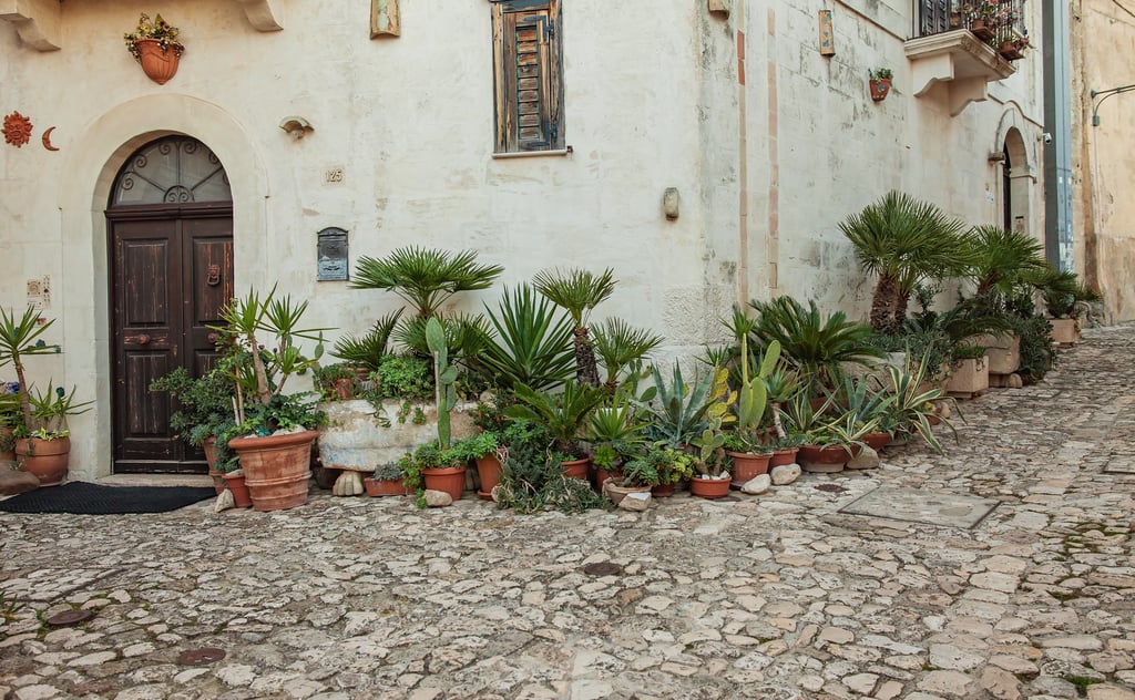 Residential street in Puglia with stone paving, potted plants and homes for overseas buyers