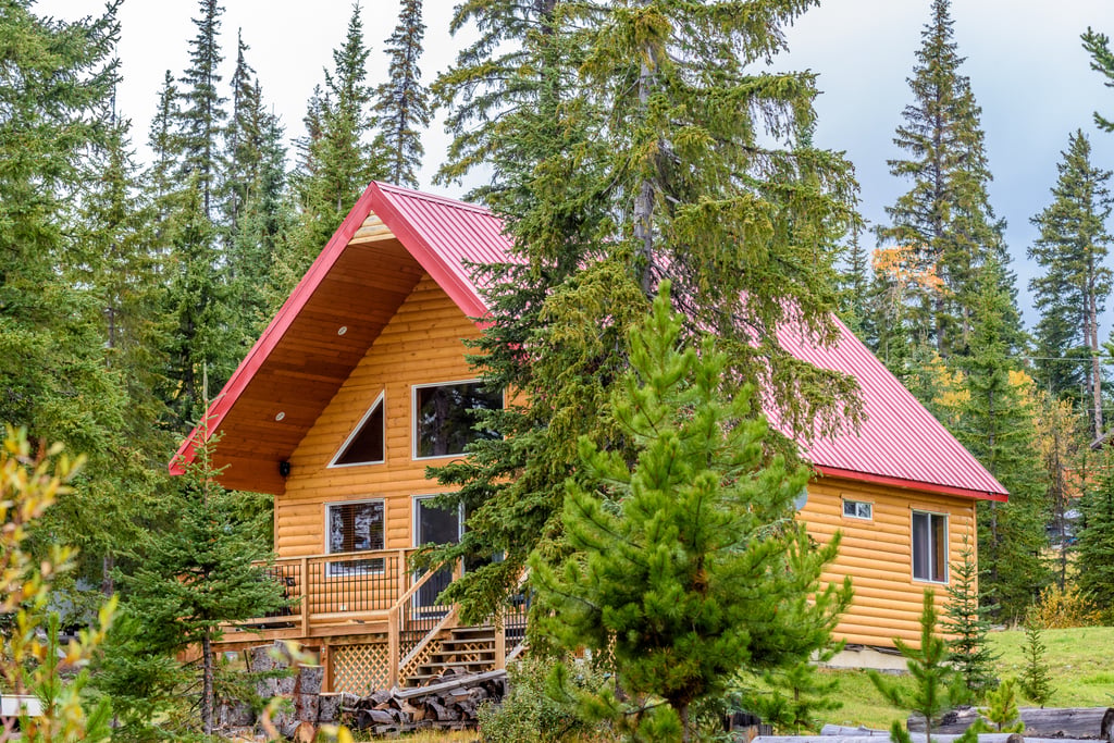 Log cabin surrounded by trees