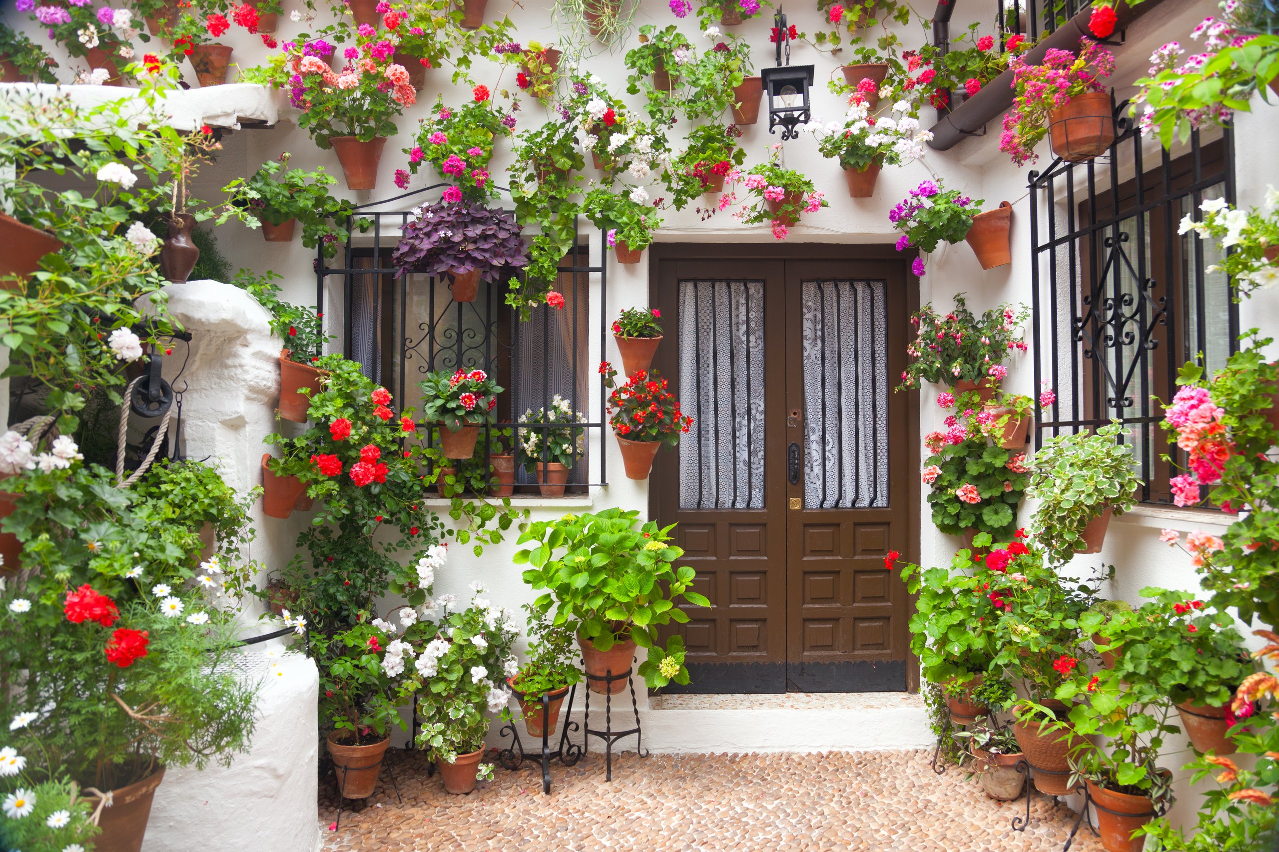 Gardening in Spain: what grows well in a hot climate