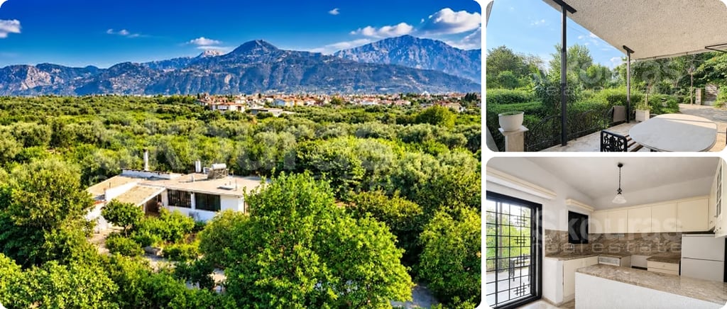 Single-storey house with a flat roof among dense green trees in Aigio, with mountains and a village in the distance