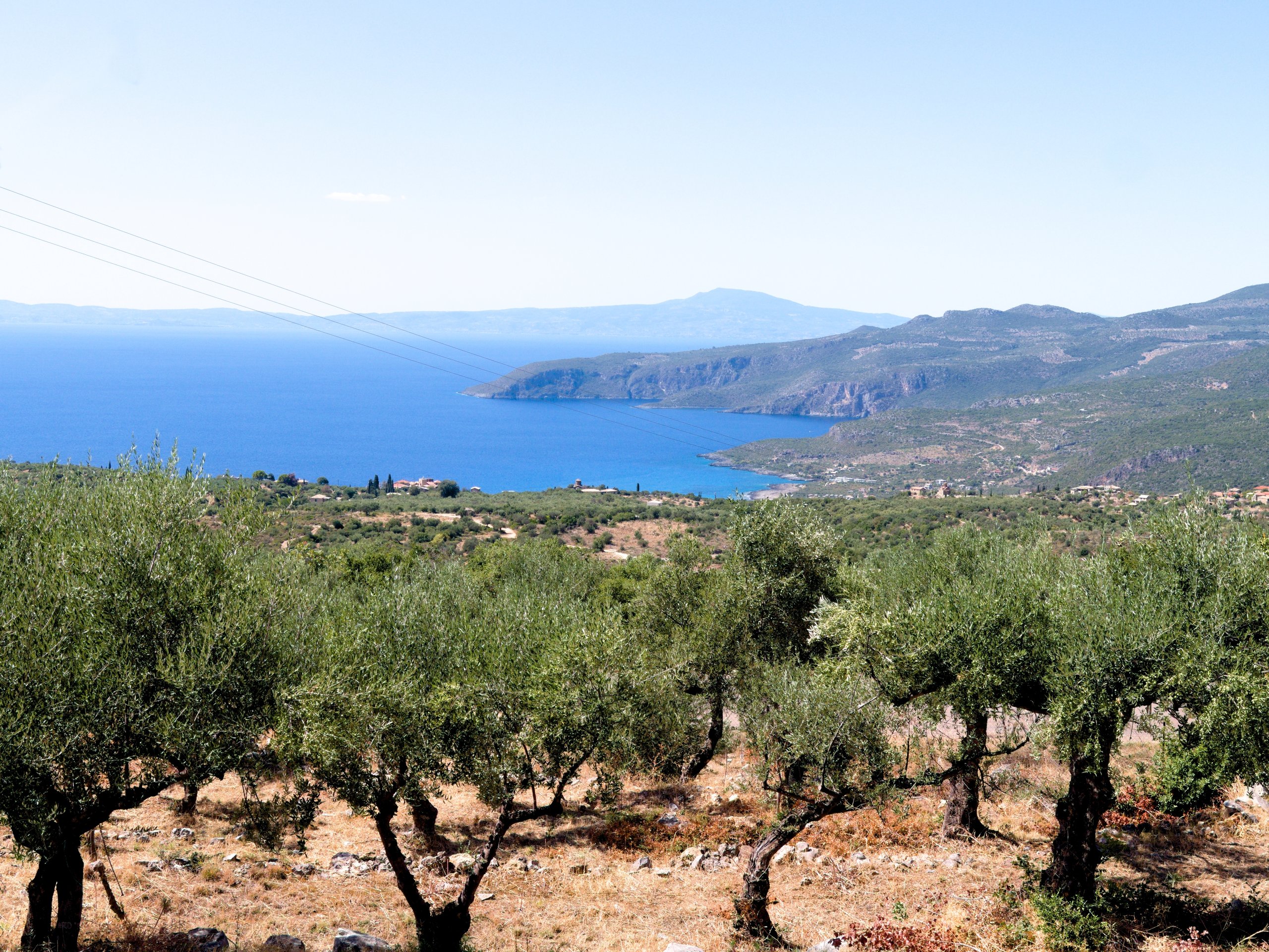 10 homes in Greece with views of green olive groves