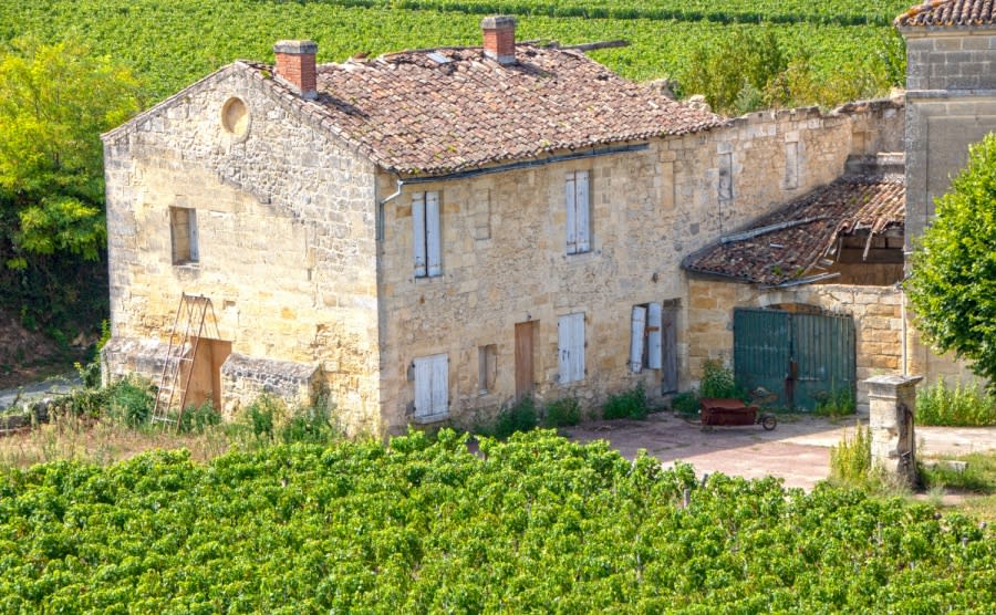 A chateau and vineyard in summer at saint emilion, france